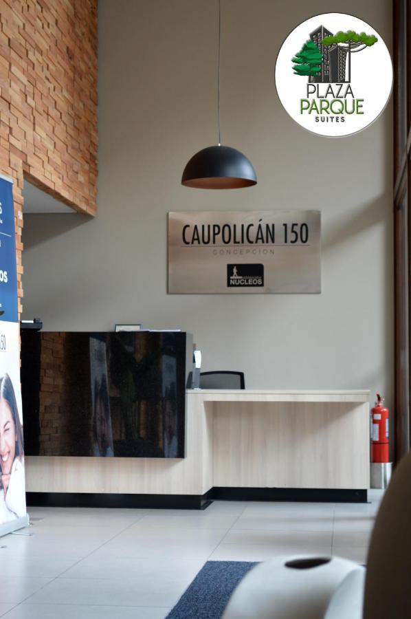 Apartamento Plaza Parque 1109 Concepción